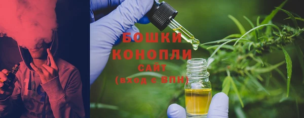 винт Лабытнанги