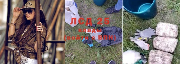 винт Лабытнанги