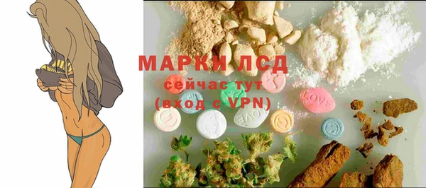 apvp Ладушкин